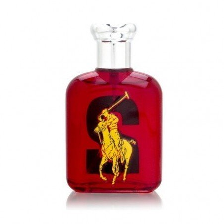 Ralph Lauren Big Pony 2